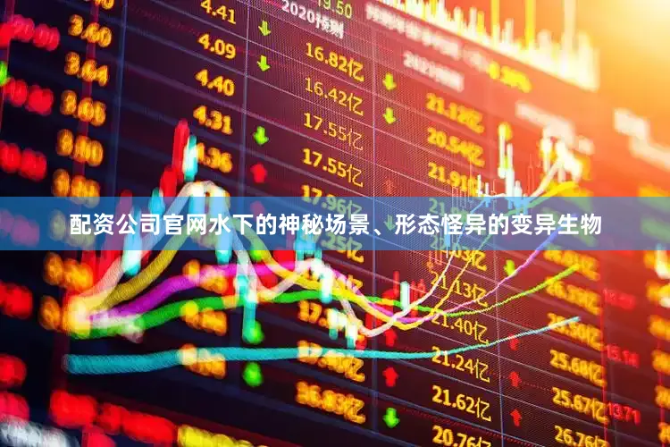 配资公司官网水下的神秘场景、形态怪异的变异生物